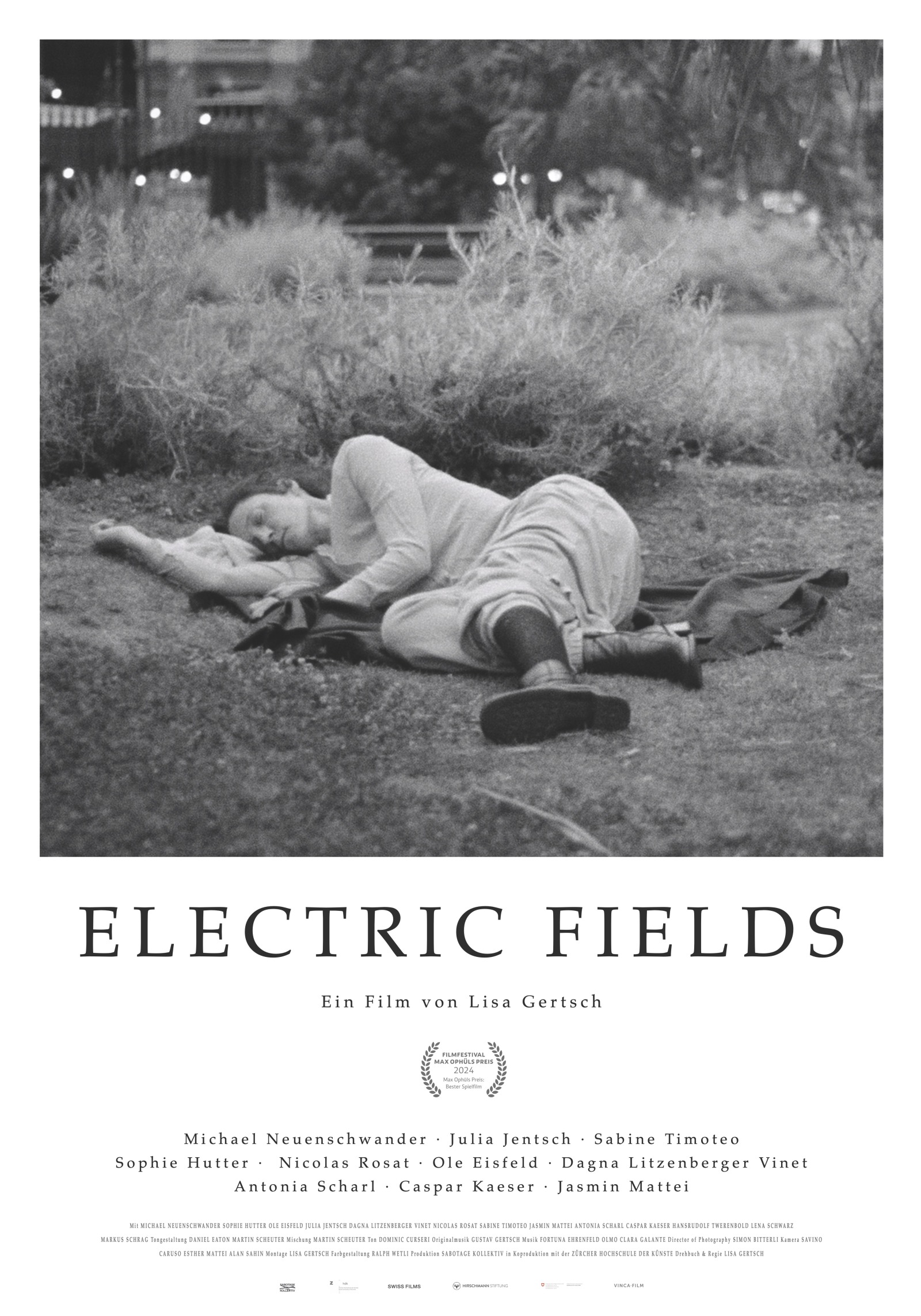 Electric Fields poster
